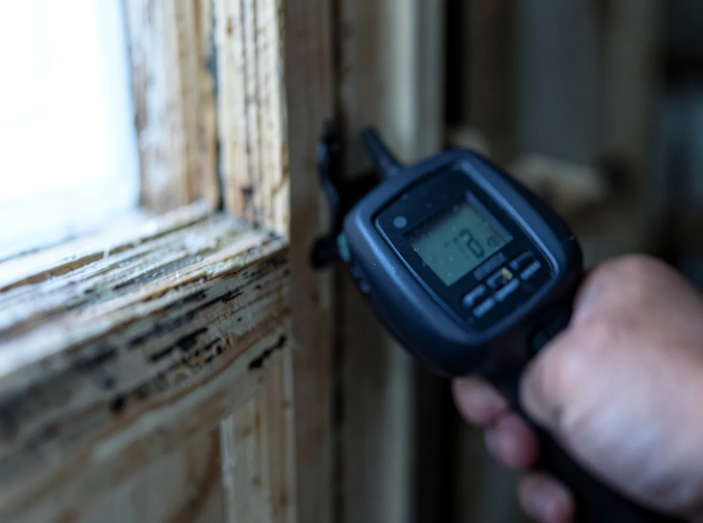 Moisture Inspection And Documentation in Oxford, MA